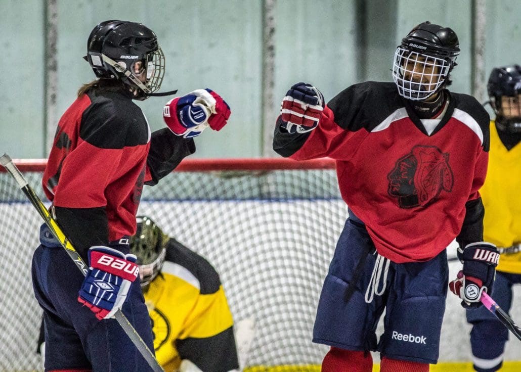BURLINGTON, ON - Dec. 11, 2016: Players celebrate following a goal in Wave Sports hockey action.